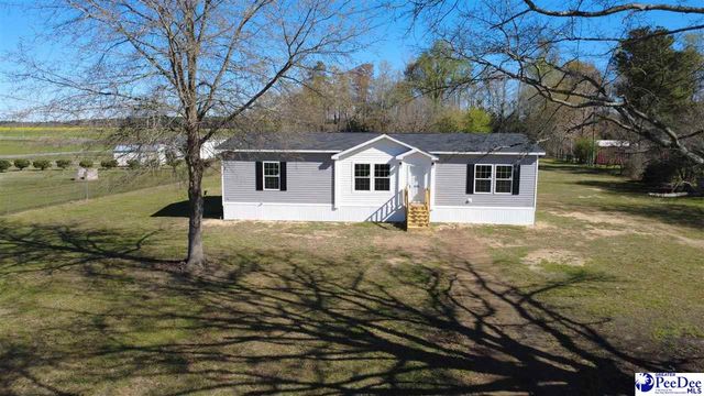 2111 Poor Farm Rd., Effingham, SC 29541