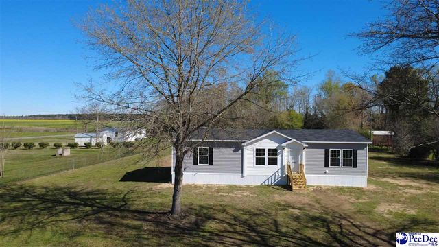 2111 Poor Farm Rd., Effingham, SC 29541