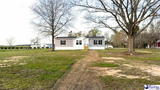 2111 Poor Farm Rd., Effingham, SC 29541