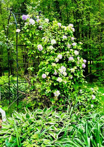 4996 Andrew Road, Marion, IL 62959