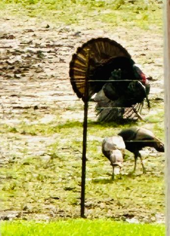 4996 Andrew Road, Marion, IL 62959