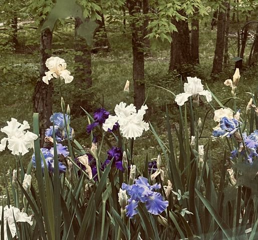 4996 Andrew Road, Marion, IL 62959