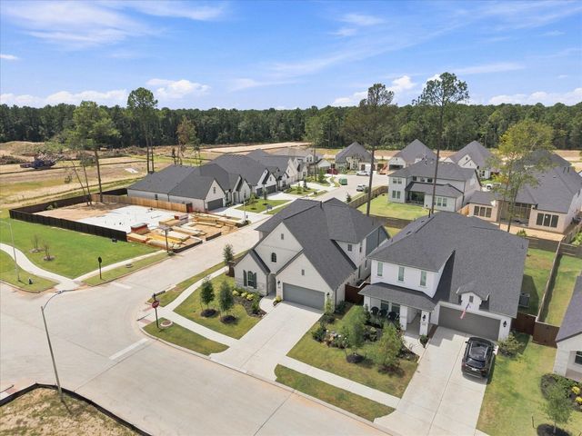 29715 Brushy Gables Drive, Magnolia, TX 77354