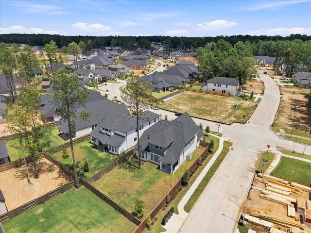 29715 Brushy Gables Drive, Magnolia, TX 77354