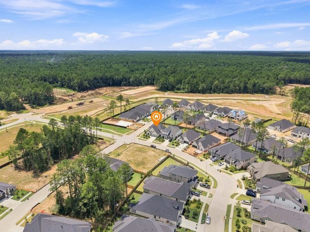 29715 Brushy Gables Drive, Magnolia, TX 77354