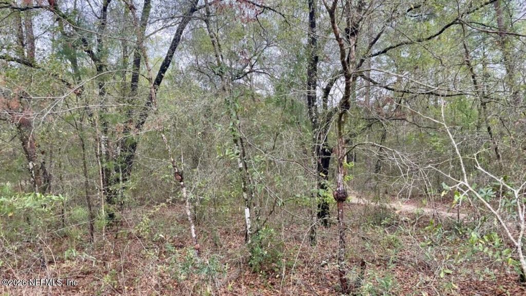 6345 ANTIOCH Avenue, Keystone Heights, FL 32656