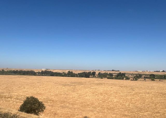 204 W Bluff Avenue, Fresno, CA 93711