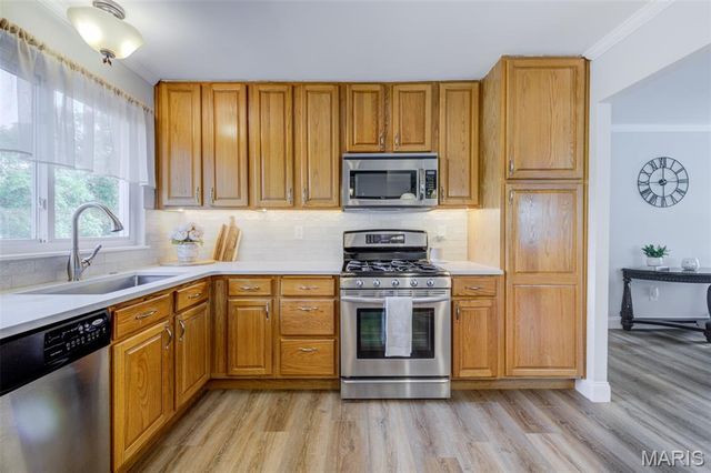 307 Twistedoak Court, Ballwin, MO 63021