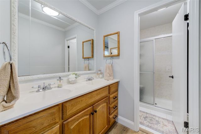307 Twistedoak Court, Ballwin, MO 63021