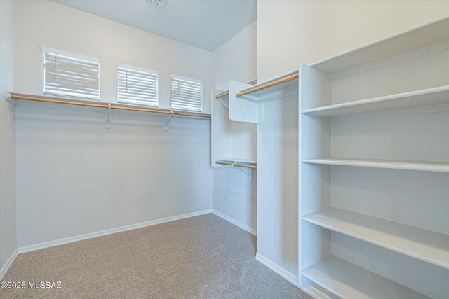14348 E Willow Goldfinch Court, Vail, AZ 85641