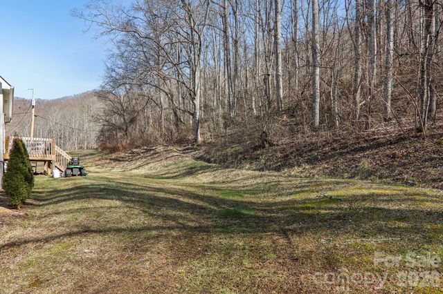 530 Wilson Cove Road, Canton, NC 28716