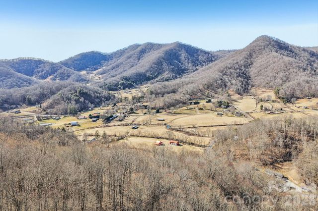 530 Wilson Cove Road, Canton, NC 28716