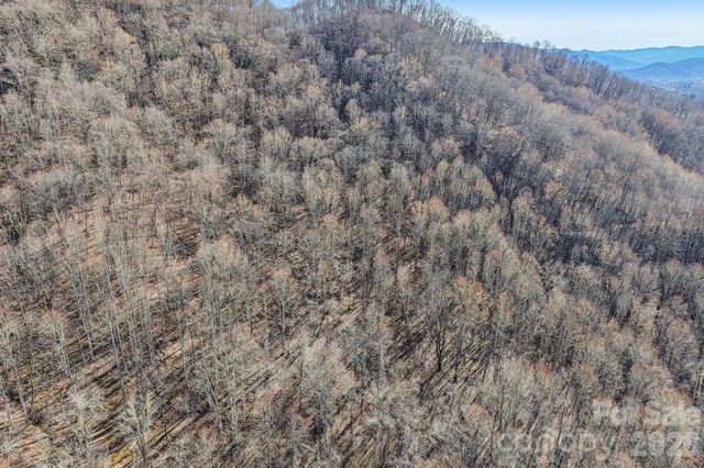 530 Wilson Cove Road, Canton, NC 28716