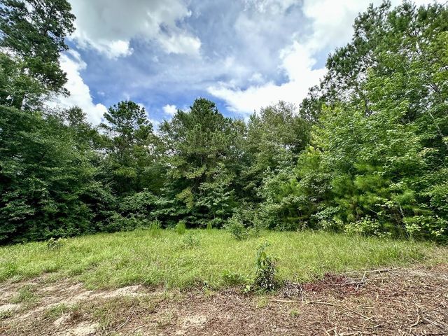 0 County Road 2065, Crockett, TX 75835