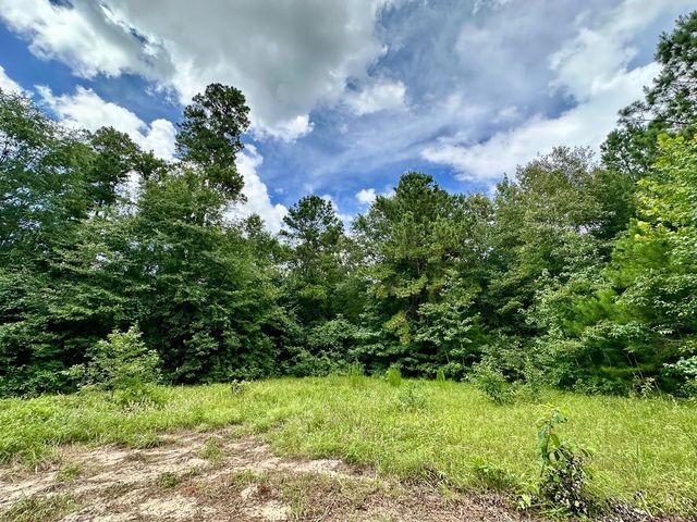 0 County Road 2065, Crockett, TX 75835
