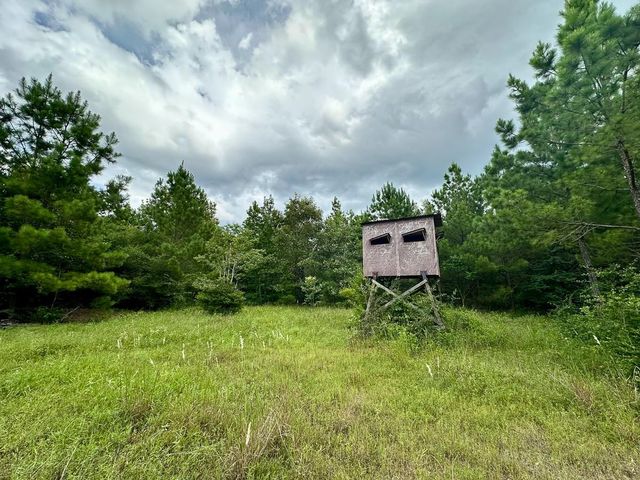 0 County Road 2065, Crockett, TX 75835