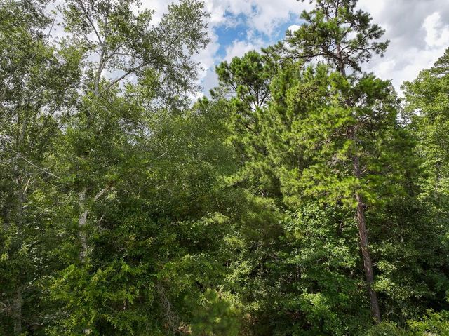 0 County Road 2065, Crockett, TX 75835