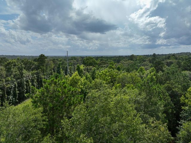 0 County Road 2065, Crockett, TX 75835