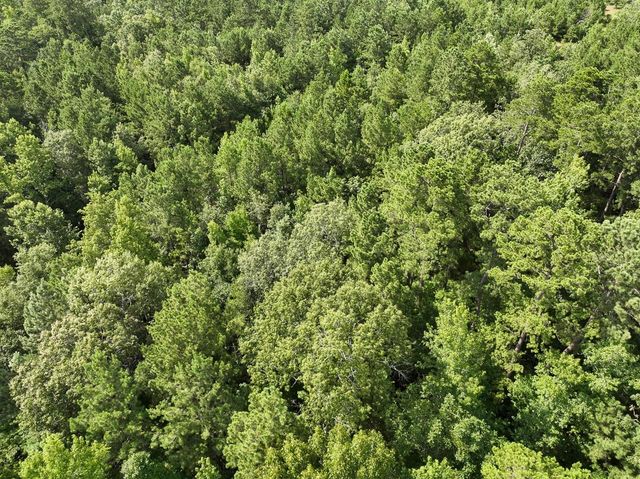 0 County Road 2065, Crockett, TX 75835