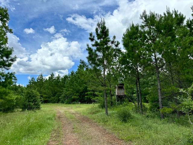 0 County Road 2065, Crockett, TX 75835