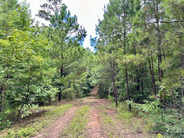 0 County Road 2065, Crockett, TX 75835