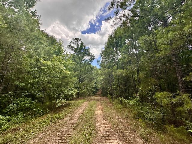 0 County Road 2065, Crockett, TX 75835