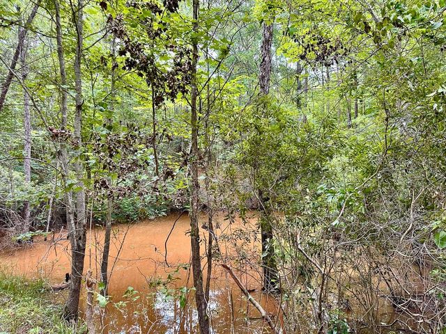 0 County Road 2065, Crockett, TX 75835