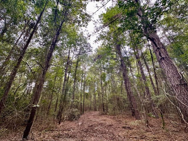 0 County Road 2065, Crockett, TX 75835