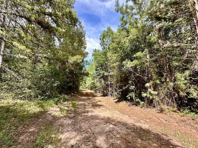 0 County Road 2065, Crockett, TX 75835