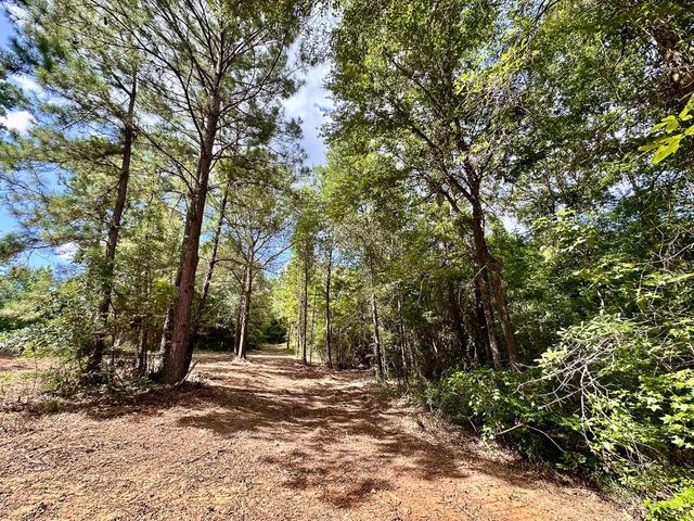 0 County Road 2065, Crockett, TX 75835