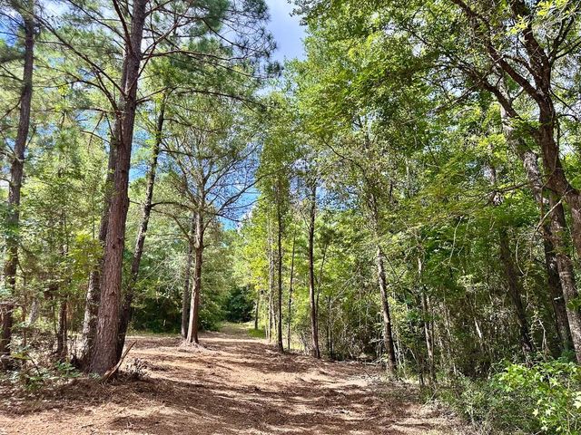0 County Road 2065, Crockett, TX 75835