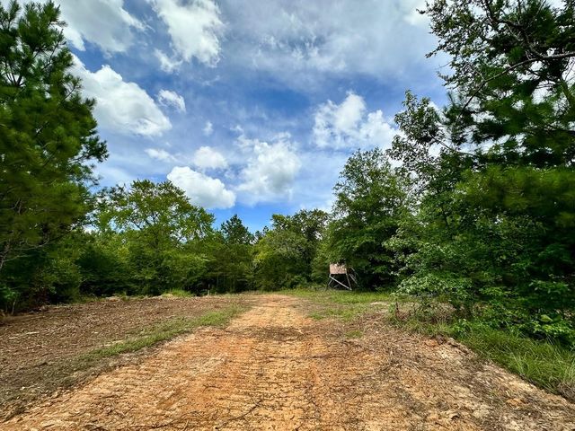 0 County Road 2065, Crockett, TX 75835