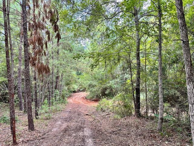 0 County Road 2065, Crockett, TX 75835
