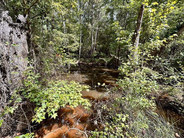 0 County Road 2065, Crockett, TX 75835