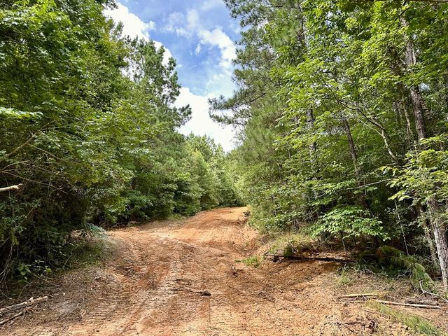 0 County Road 2065, Crockett, TX 75835