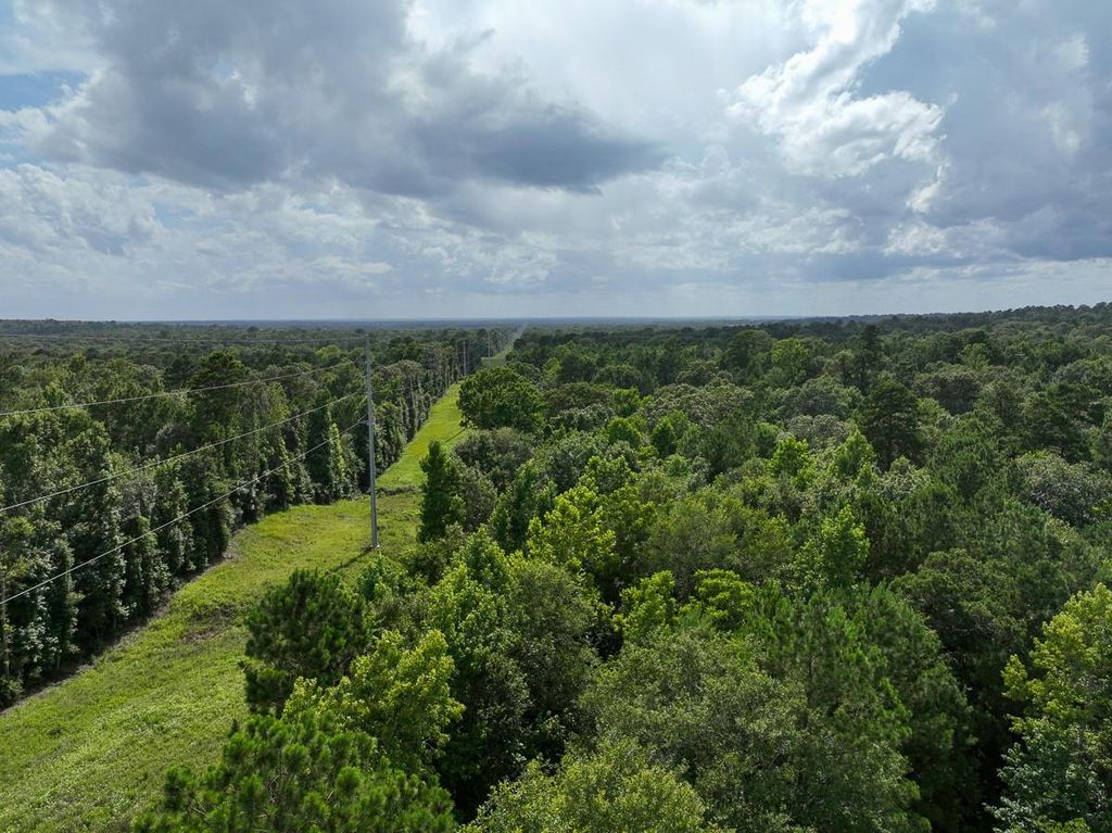 0 County Road 2065, Crockett, TX 75835