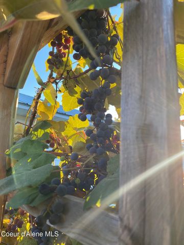 71 Schissler Ln, Kootenai, ID 83840