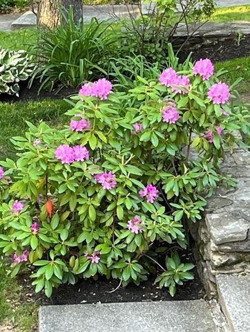 32 Crestwood Dr, Southbridge, MA 01550