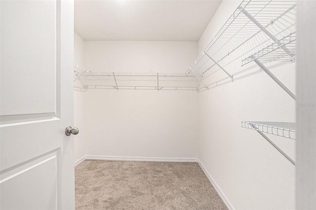 3900 AUTUMN AMBER DRIVE, Spring Hill, FL 34609