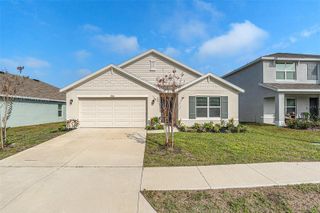 3900 AUTUMN AMBER DRIVE, Spring Hill, FL 34609