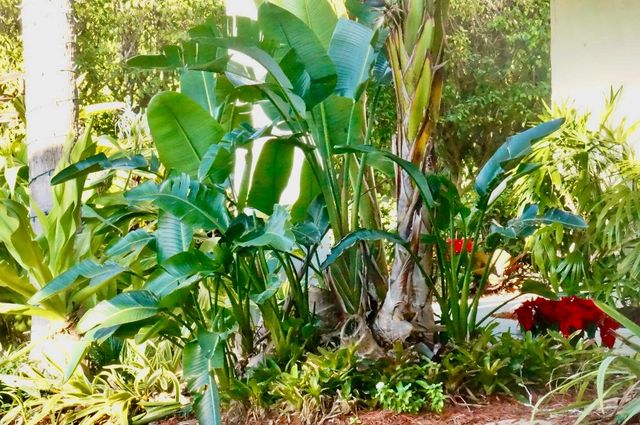 1206 S Lake Drive 301, Lantana, FL 33462