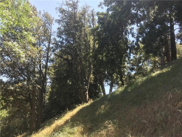 0 Buck, Cedarpines Park, CA 92322
