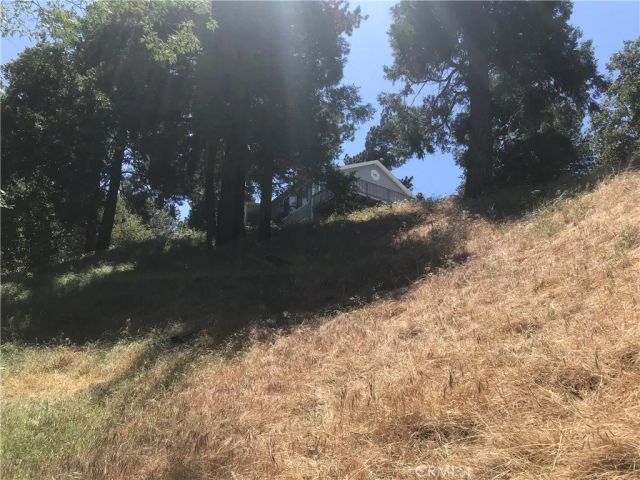 0 Buck, Cedarpines Park, CA 92322