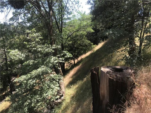 0 Buck, Cedarpines Park, CA 92322