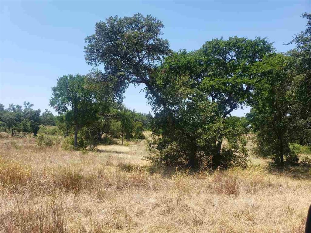 Lot 27 Sierra Bluff BLF, Buchanan Dam, TX 78609