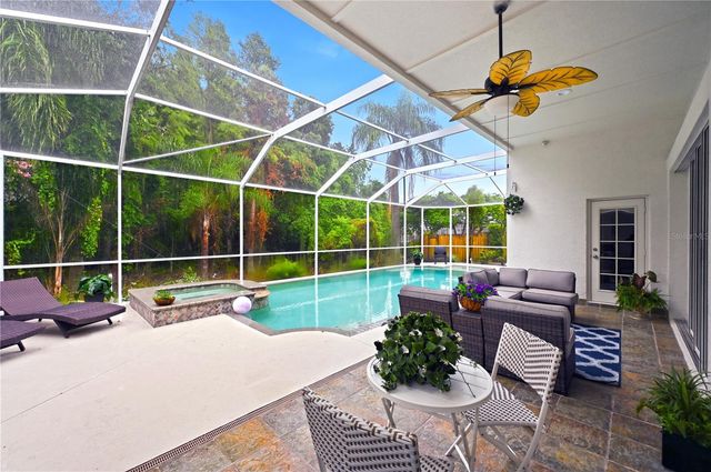 19307 WIND DANCER STREET, Lutz, FL 33558