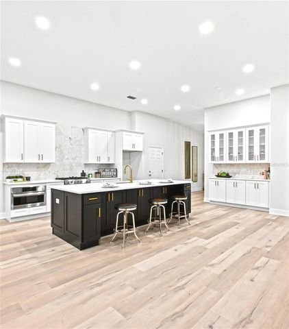 19307 WIND DANCER STREET, Lutz, FL 33558