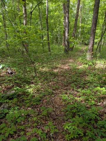 1061 Cranfill Road, Dayton, TN 37321