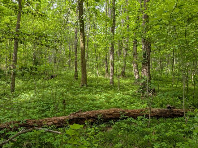 1061 Cranfill Road, Dayton, TN 37321