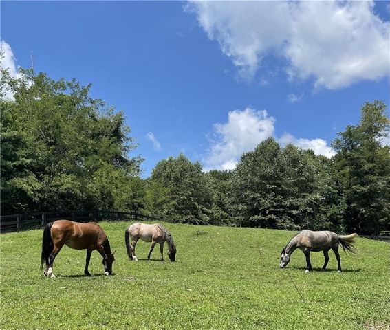 64 Fairview Court, Jasper, GA 30143